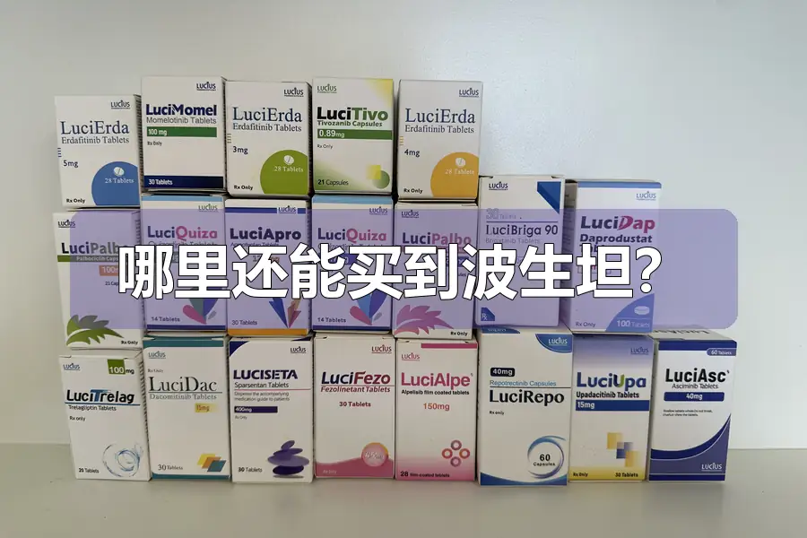 哪里还能买到波生坦？